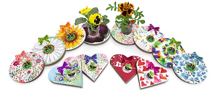 Gli auguri animati di Eco-Decors